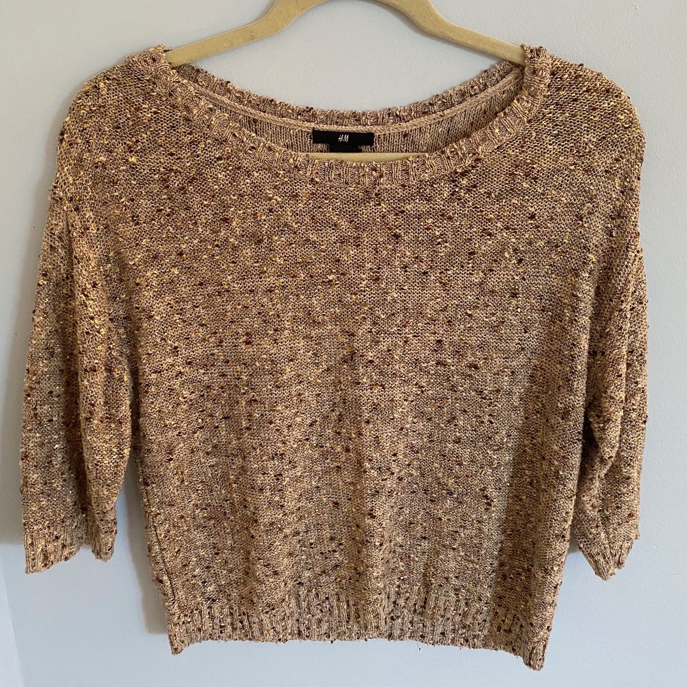 H&M Embellished Sweater